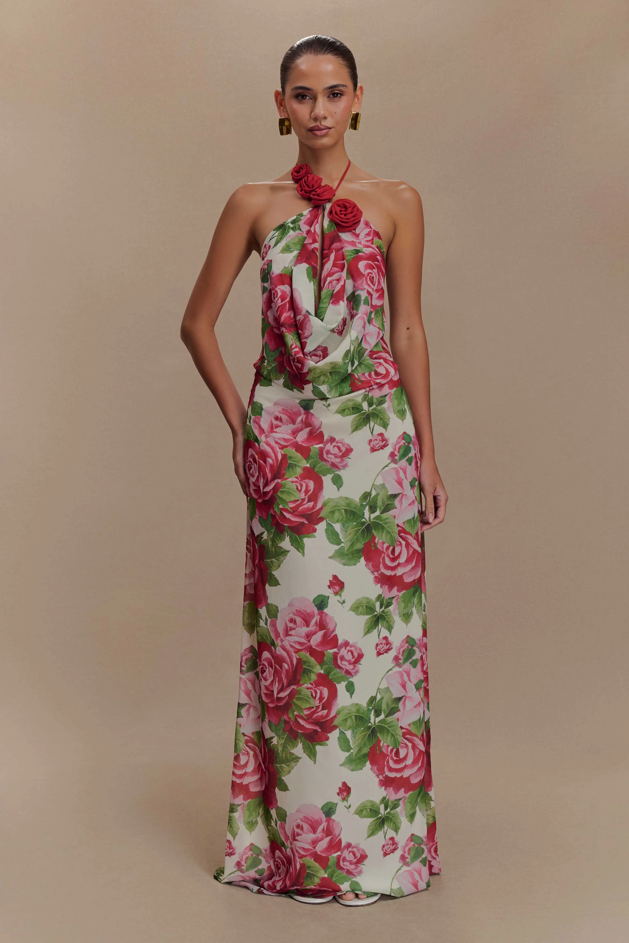 Rosalia Cowl Neck Maxi Dress - Sonia Rose Print