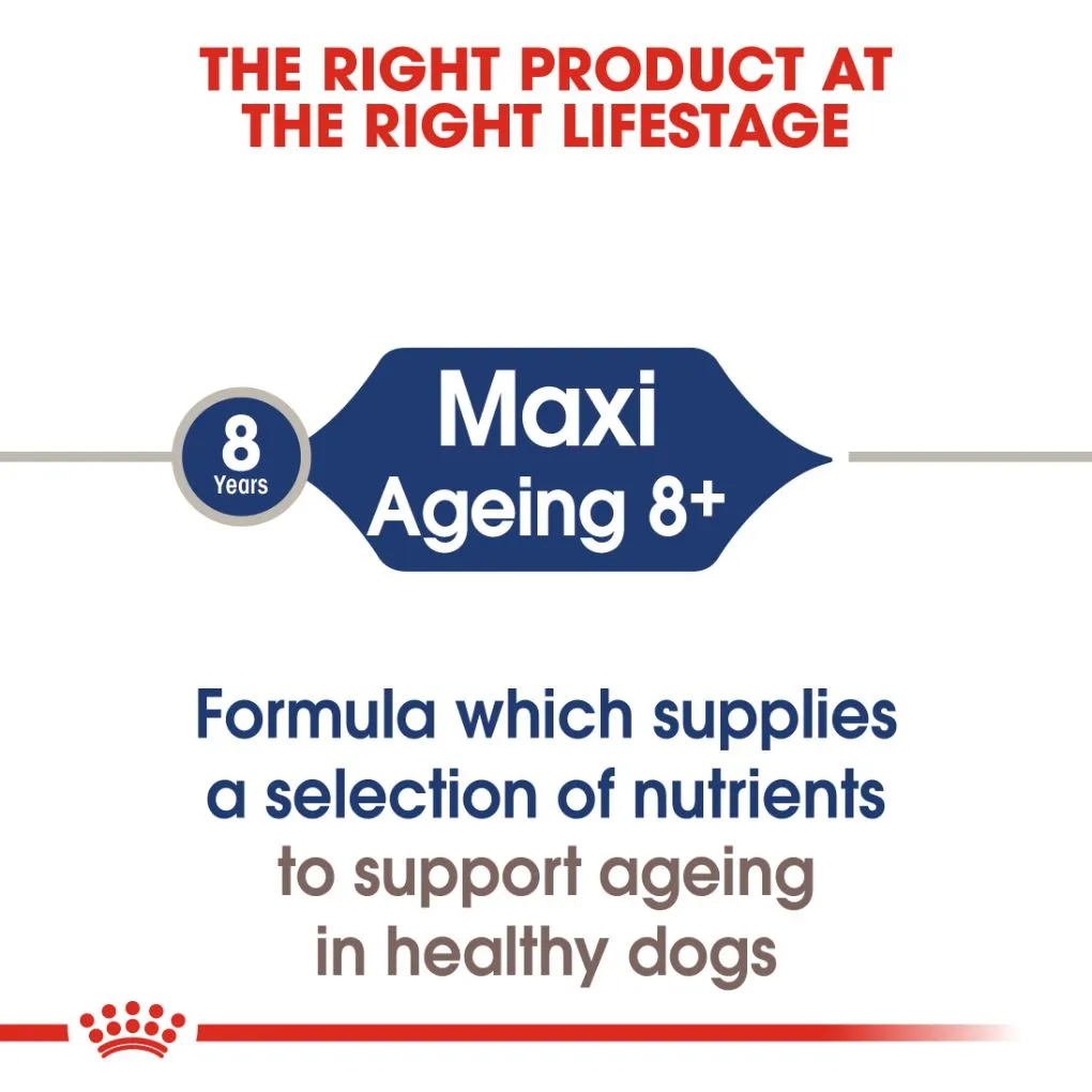 Royal Canin Maxi Ageing 8  Pouches