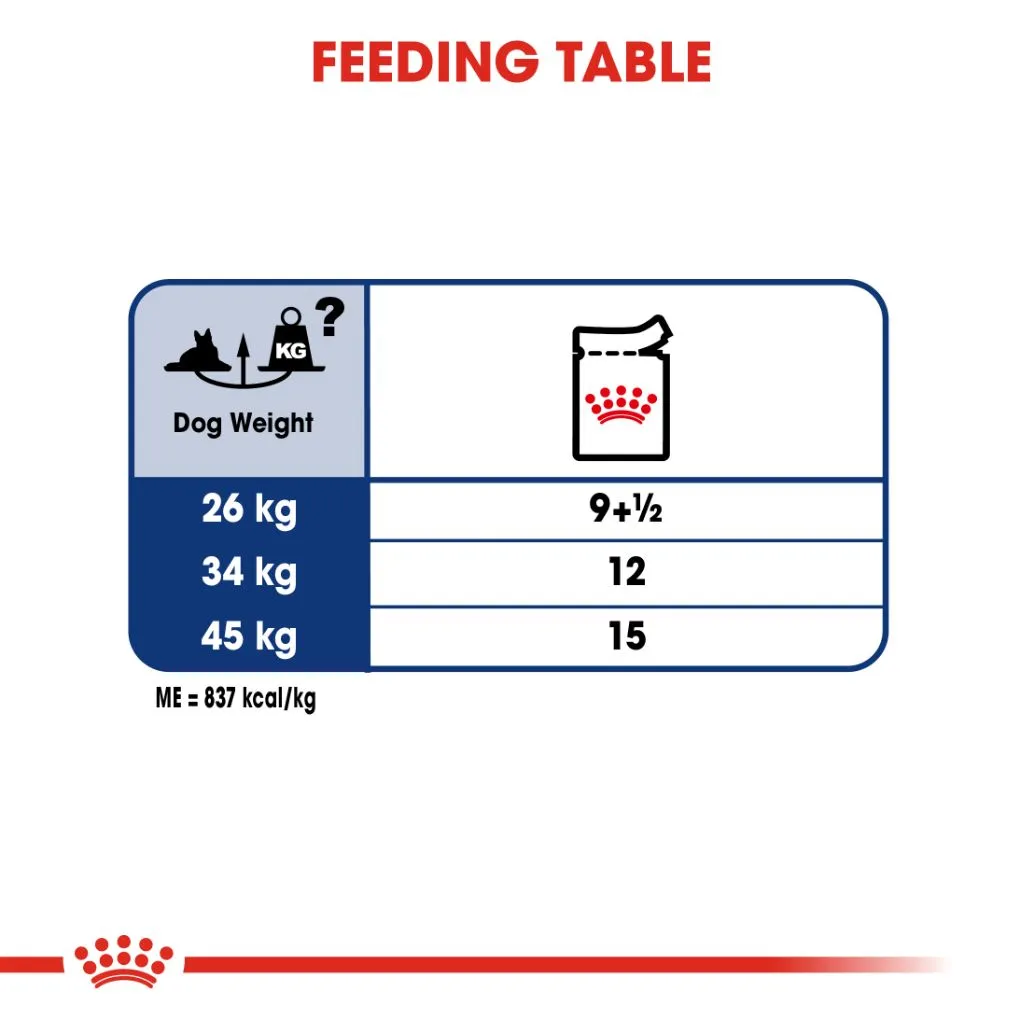 Royal Canin Maxi Ageing 8  Pouches