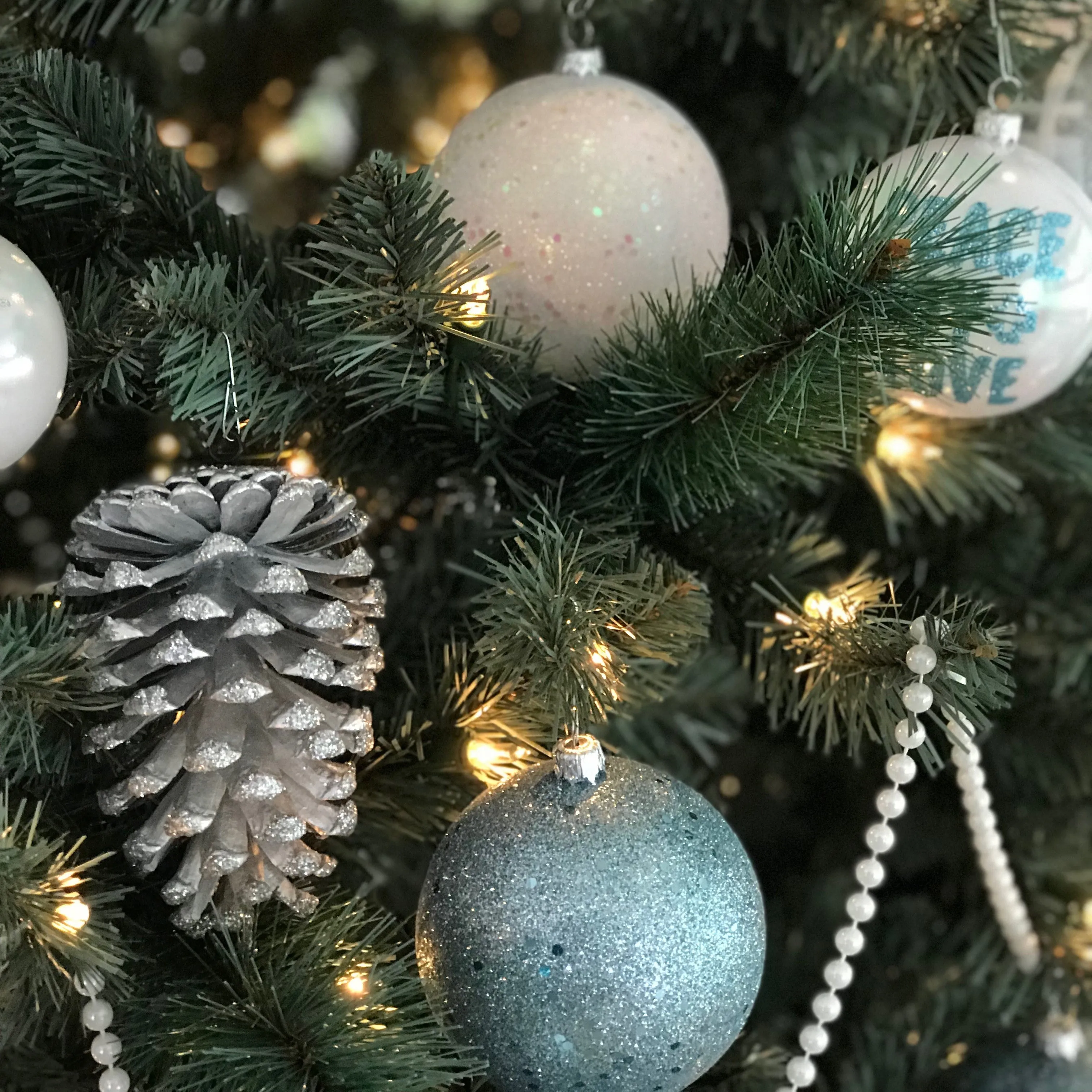 The Meadow's End Blue Spruce Tree - 7.5 ft